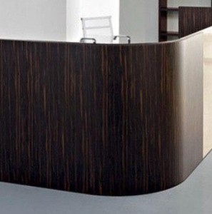 Угловой радиусный модуль Rise