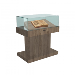 Витрина для музеев №1А со вставкой