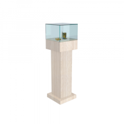 Витрина для музеев №6