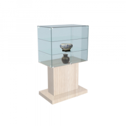 Витрина для музеев №8